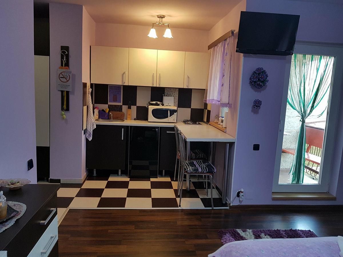 Appartement Garsoniera Cristina à Băile Felix Extérieur photo