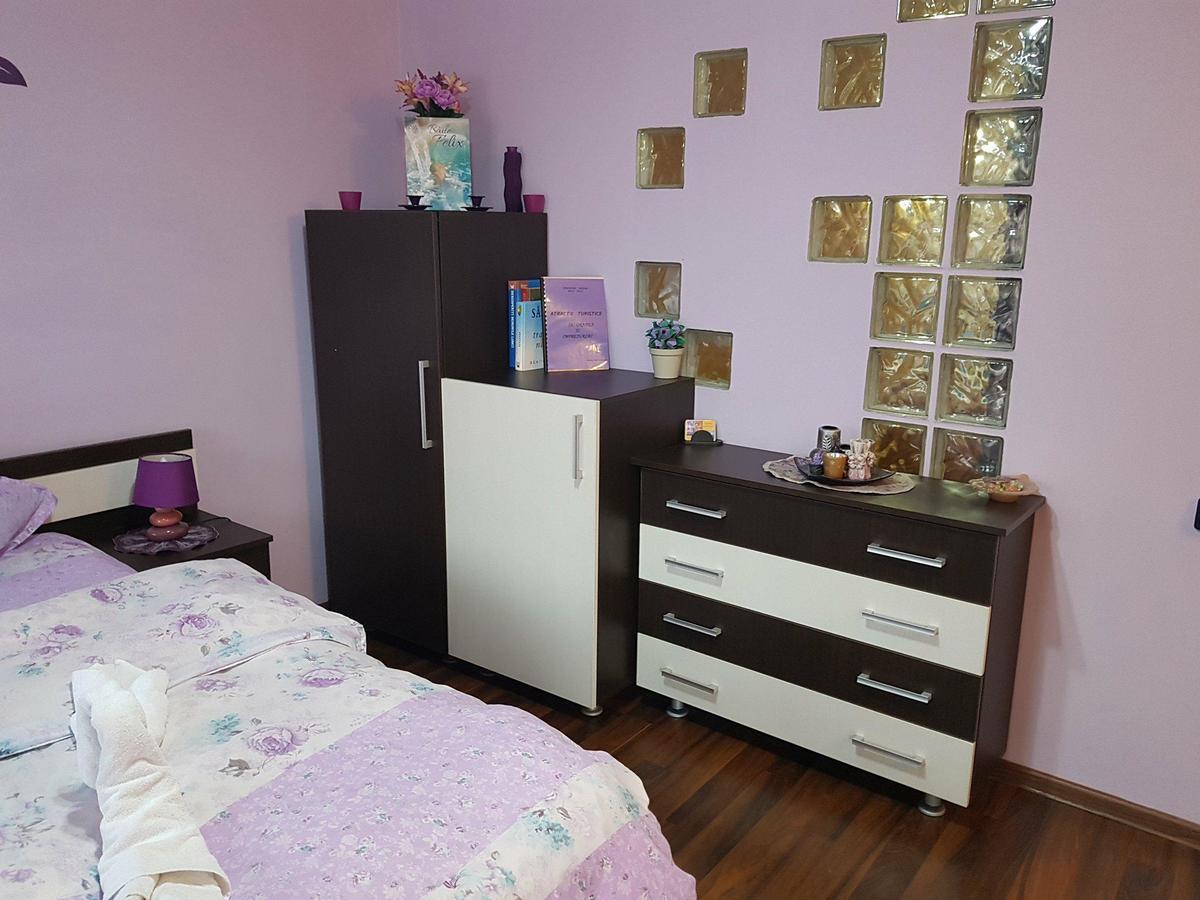 Appartement Garsoniera Cristina à Băile Felix Extérieur photo