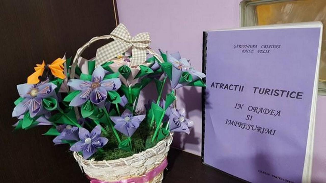 Appartement Garsoniera Cristina à Băile Felix Extérieur photo